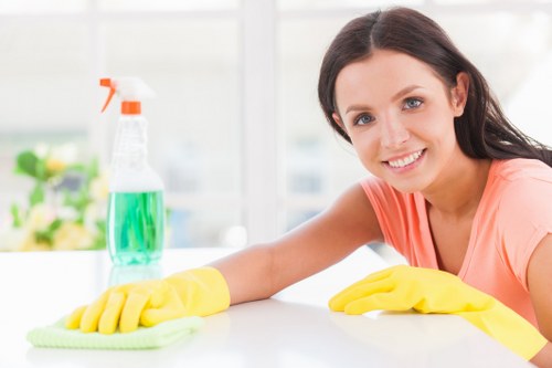 Professional oven cleaning service terms and conditions document