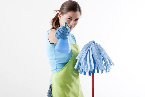 Professional oven cleaning for Bloomsbury homes and flats