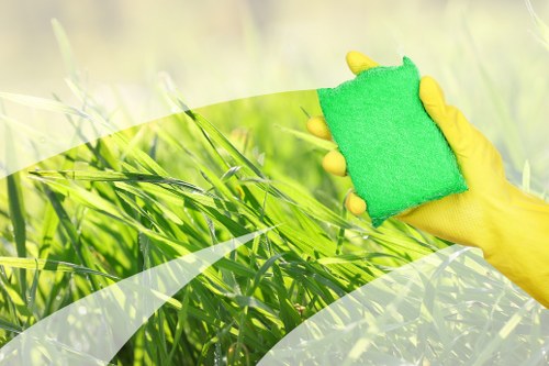 Professional carpet cleaning for Bloomsbury homes and flats