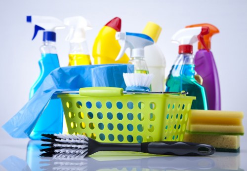 Deep cleaning service for Bloomsbury homes and apartments