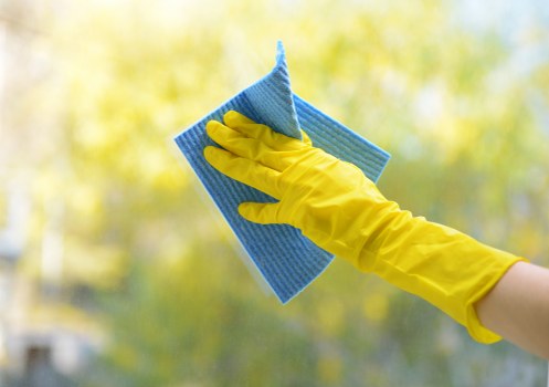Carpet cleaning equipment suited to Bloomsbury properties