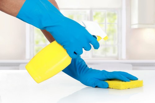 Professional carpet cleaning in a Bloomsbury period property