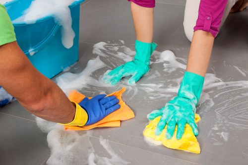 Professional oven cleaning service for Bloomsbury homes and flats