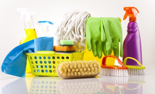 Professional sofa cleaning service for Bloomsbury homes and flats