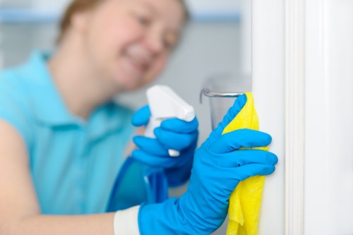Professional upholstery cleaning for a sofa in a Bloomsbury home