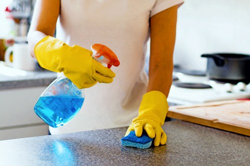 Move-out cleaning service for Bloomsbury tenants and landlords