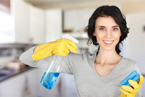 Deep cleaning oven racks, trays, and door glass in Bloomsbury