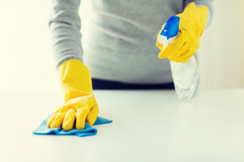 Deep cleaning for wool and patterned rugs