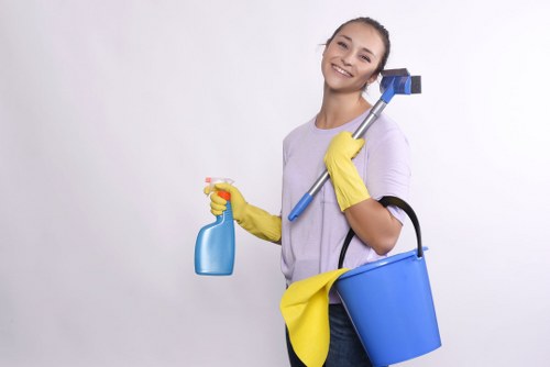 Kitchen and surface cleaning in a Bloomsbury apartment