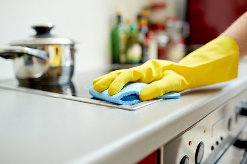 Kitchen appliance maintenance and oven cleaning in a Bloomsbury property