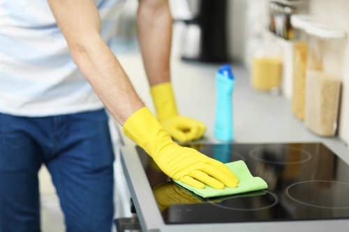 Professional inspecting an oven before cleaning in Bloomsbury