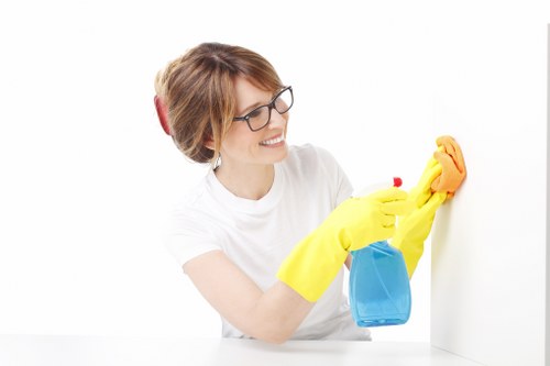 Local oven cleaner working in a Bloomsbury kitchen