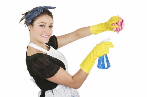 Deep cleaning supplies prepared for a Bloomsbury property appointment