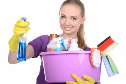 Local sofa cleaning for a busy Bloomsbury living room