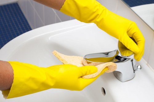 Central London home cleaning service for Bloomsbury residents