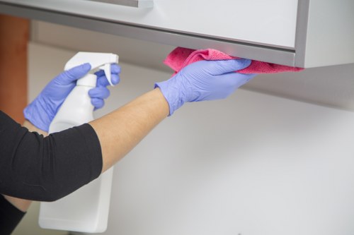 Thorough oven cleaner service for Bloomsbury domestic and commercial kitchens